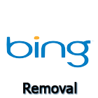 Bing removal tool